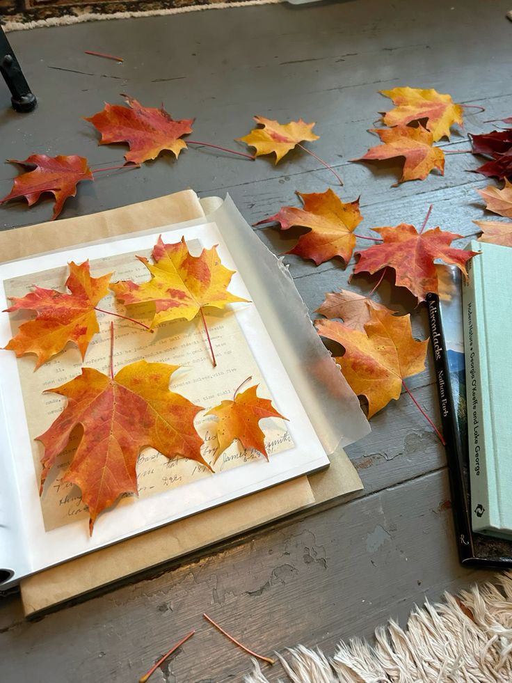 Collect and Press Colorful Fall Leaves