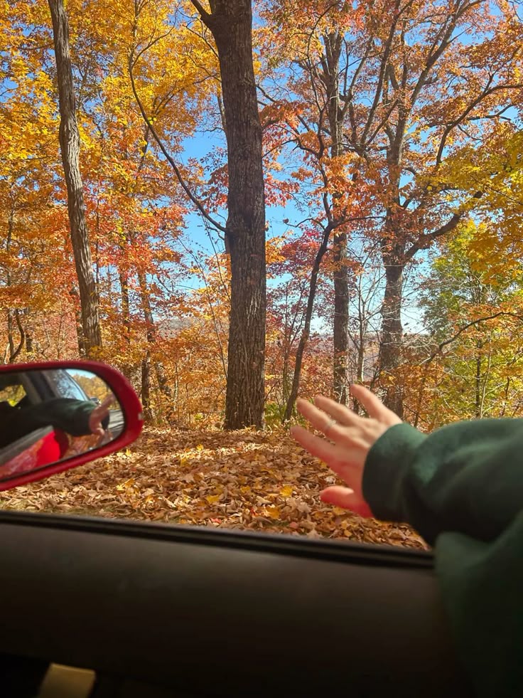 Go on a Scenic Fall Drive