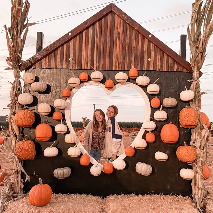 Organize a No-Carve Pumpkin Contest