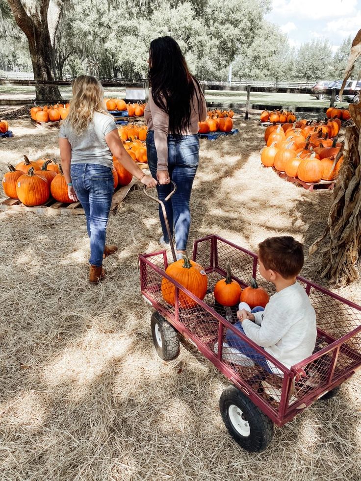 Visit a Local Pumpkin Patch
