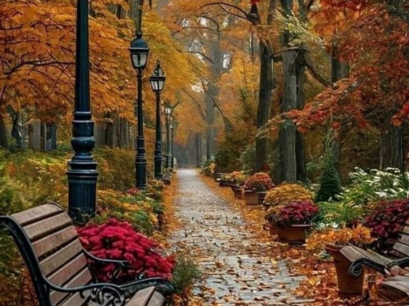 Beautiful Fall painting Ideas You want to display all seasons