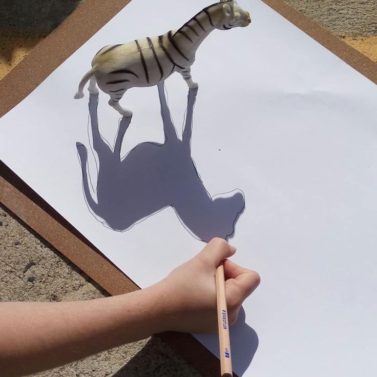 Create Shadow Drawings
