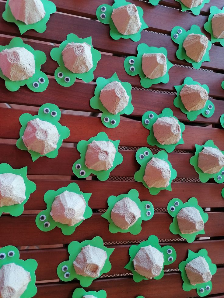 Egg Carton Turtle