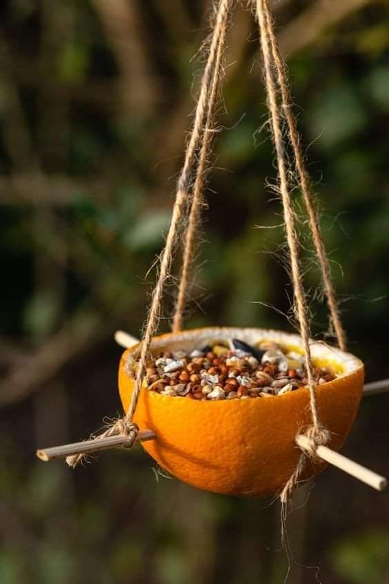 Make Homemade Bird Feeders