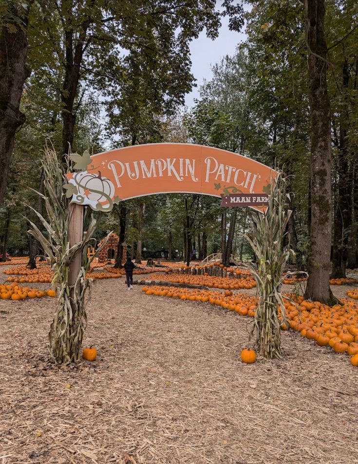 Rustic Pumpkin Patch