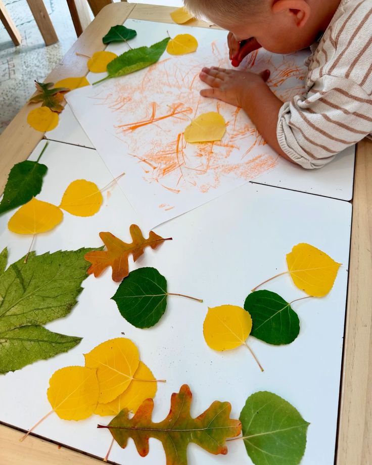 Apple Leaf Rubbing