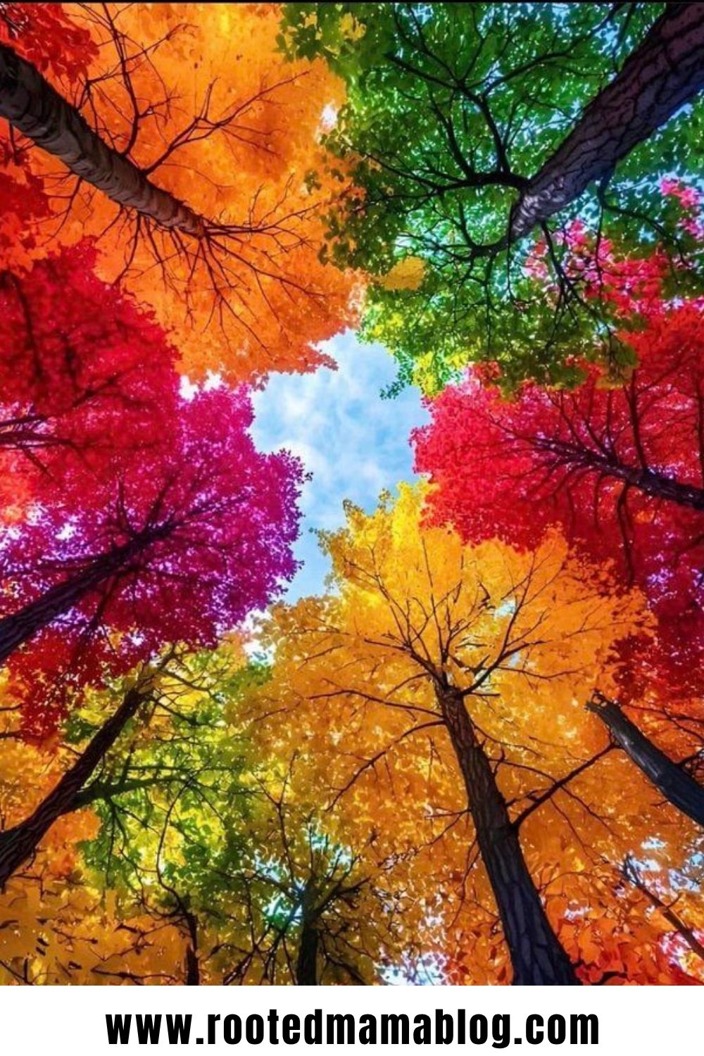 21 Canvas Painting That Capture Autumn Beauty