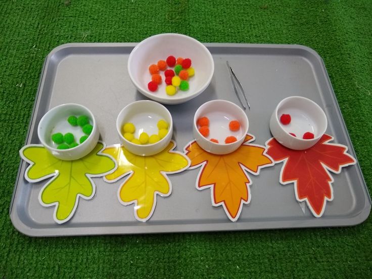 Create a Fall Color Sorting Activity