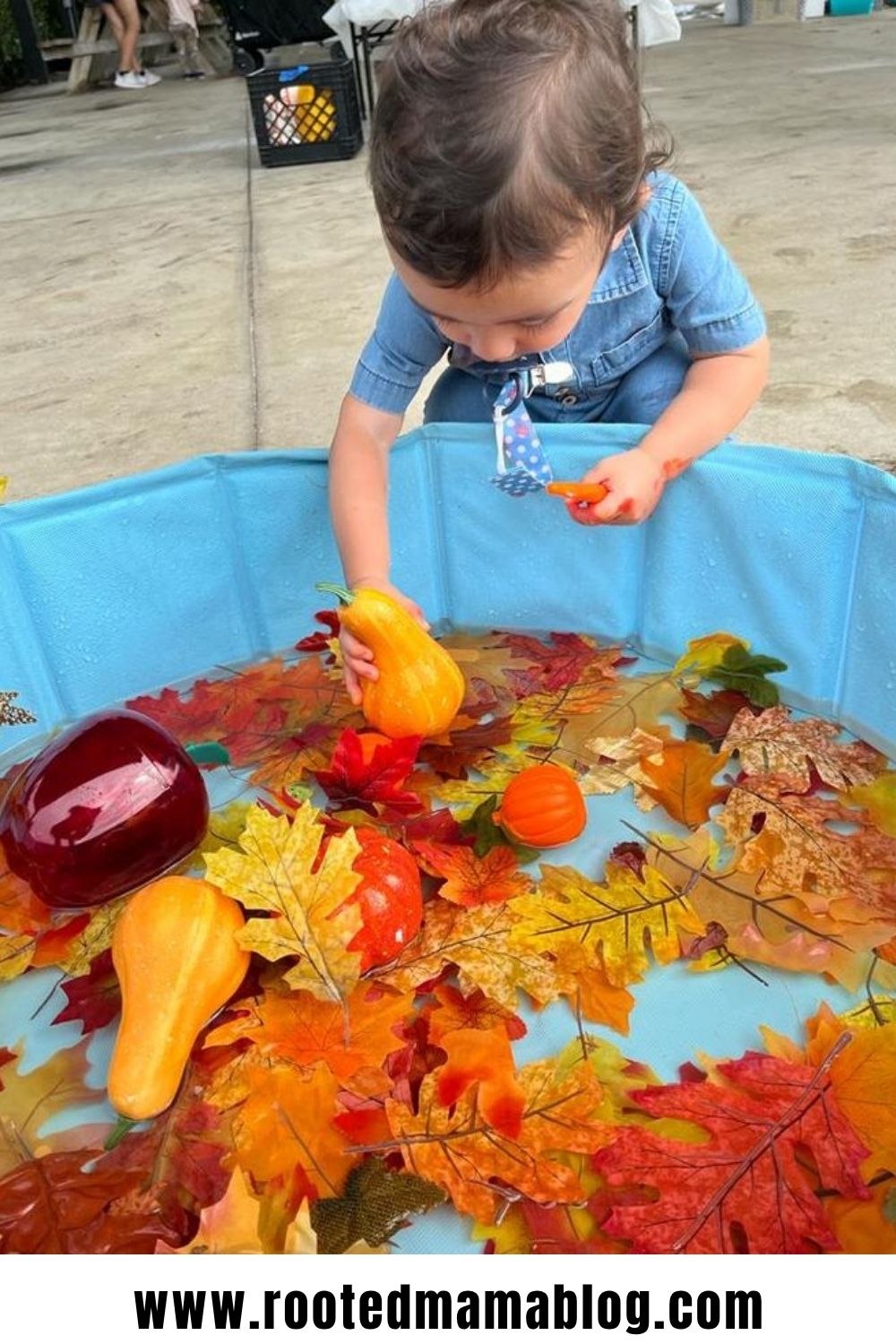 Easy Fall Sensory Activities for Toddlers and Preschoolers