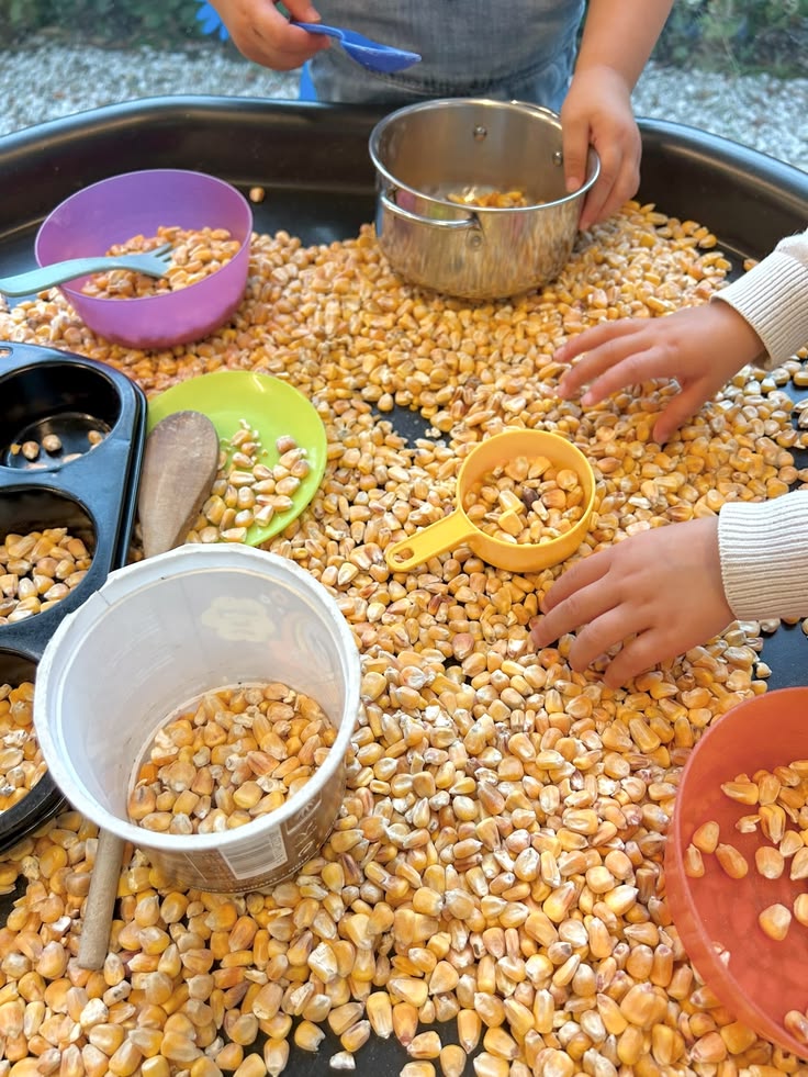 Explore a Corn Sensory Tub