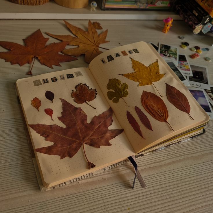 Leaf Craft Storybook