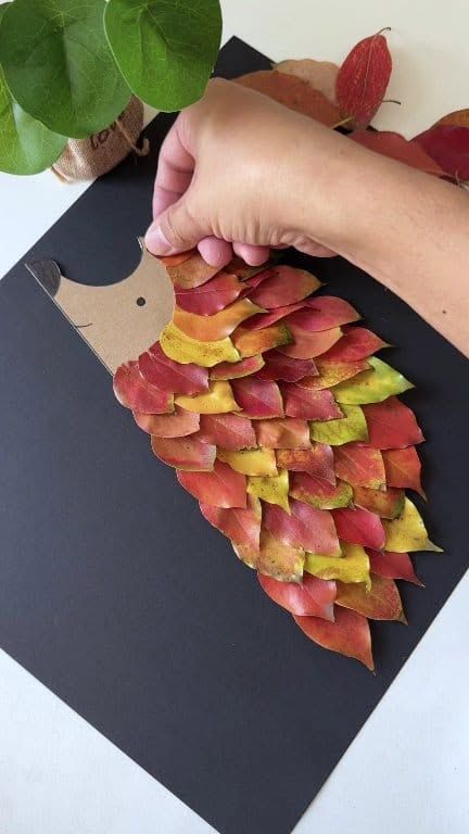  Leaf Hedgehog Family