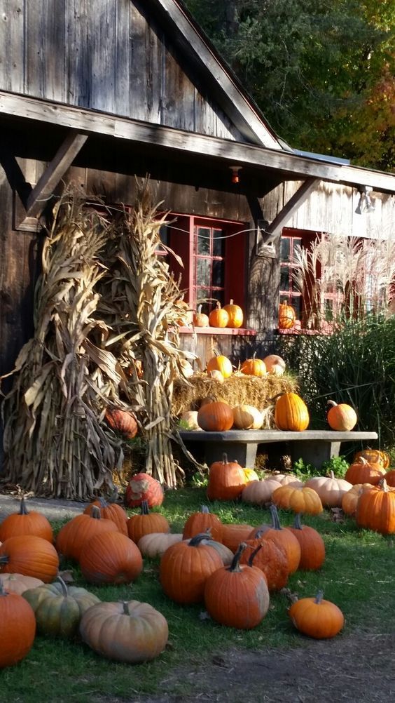 Rustic Autumn Barn