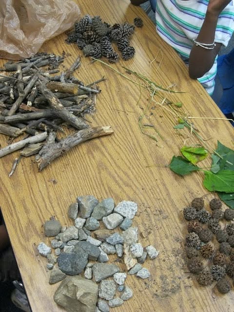 Nature Object Sorting